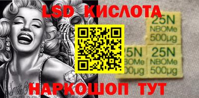 крисы Шахты