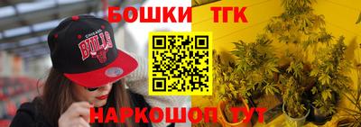крисы Шахты