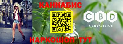 крисы Шахты