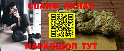 крисы Шахты