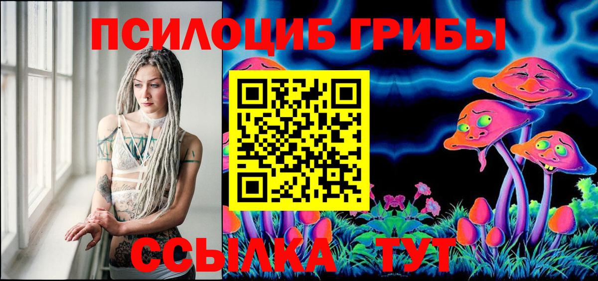 Псилоцибиновые грибы Psilocybine cubensis  Вход с VPN  Петровск  Галлюциногенные грибы GOLDEN TEACHER 