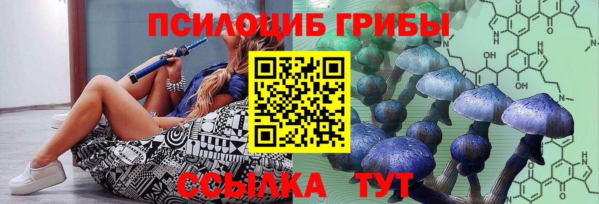 Галлюциногенные грибы Psilocybe Петровск